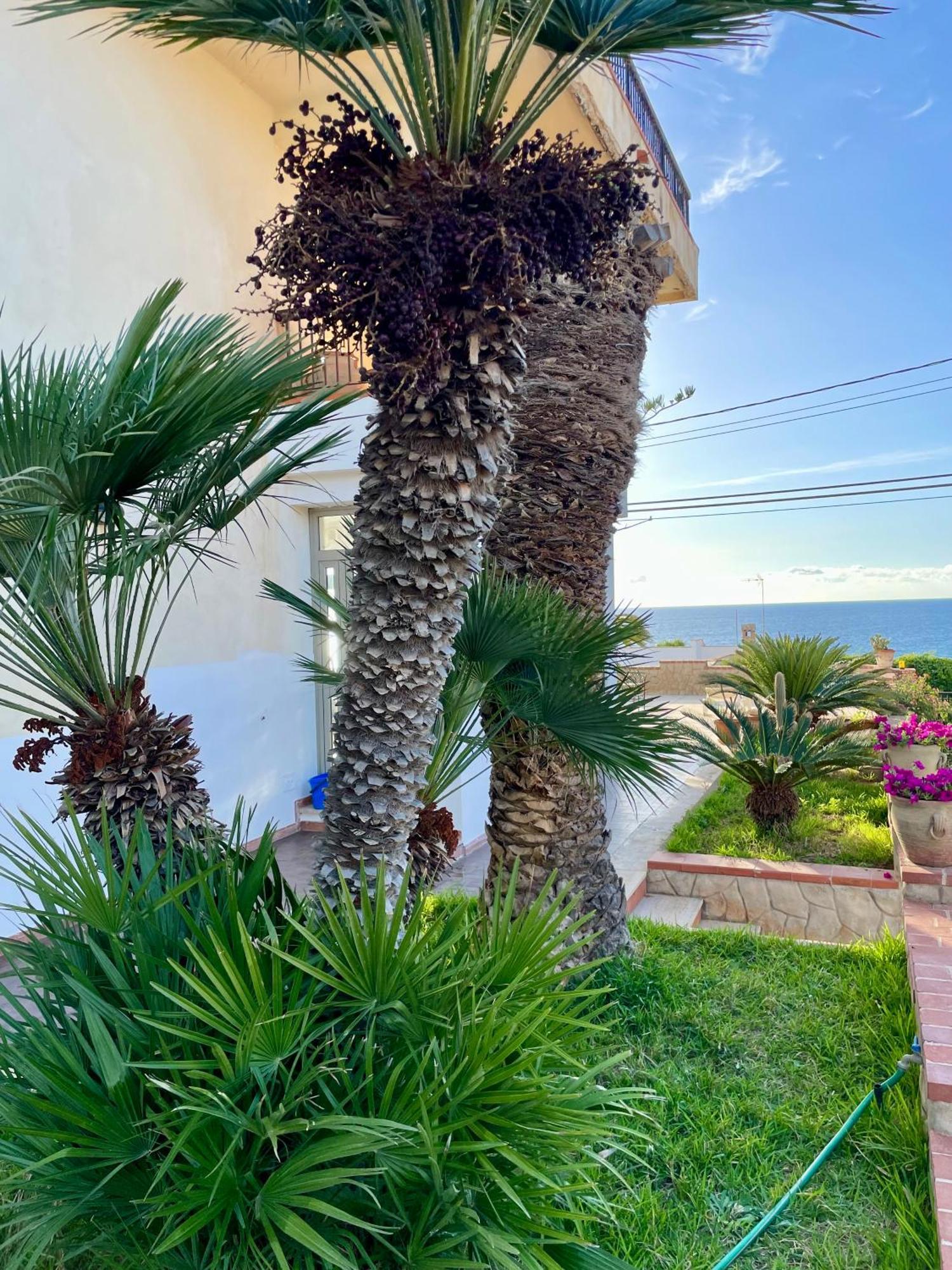 Villa Sul Mare Palazzolo Trappeto  Εξωτερικό φωτογραφία