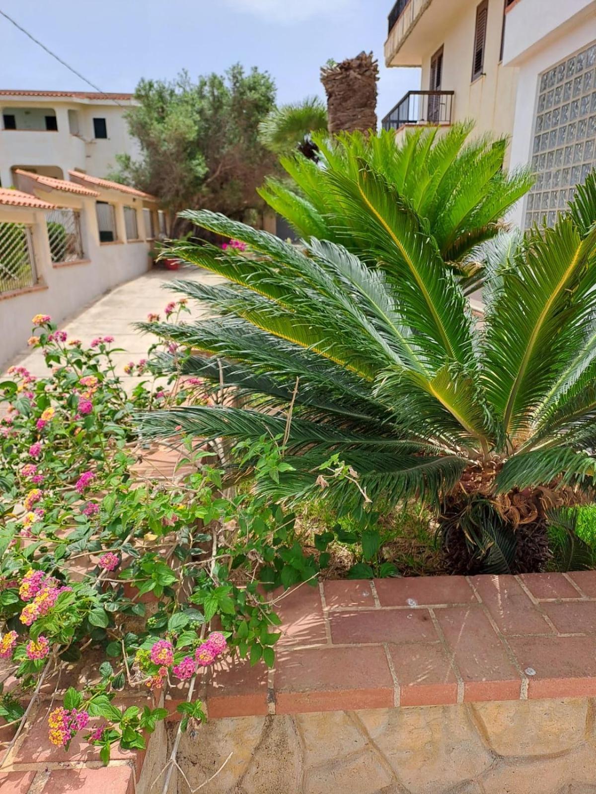 Villa Sul Mare Palazzolo Trappeto  Εξωτερικό φωτογραφία