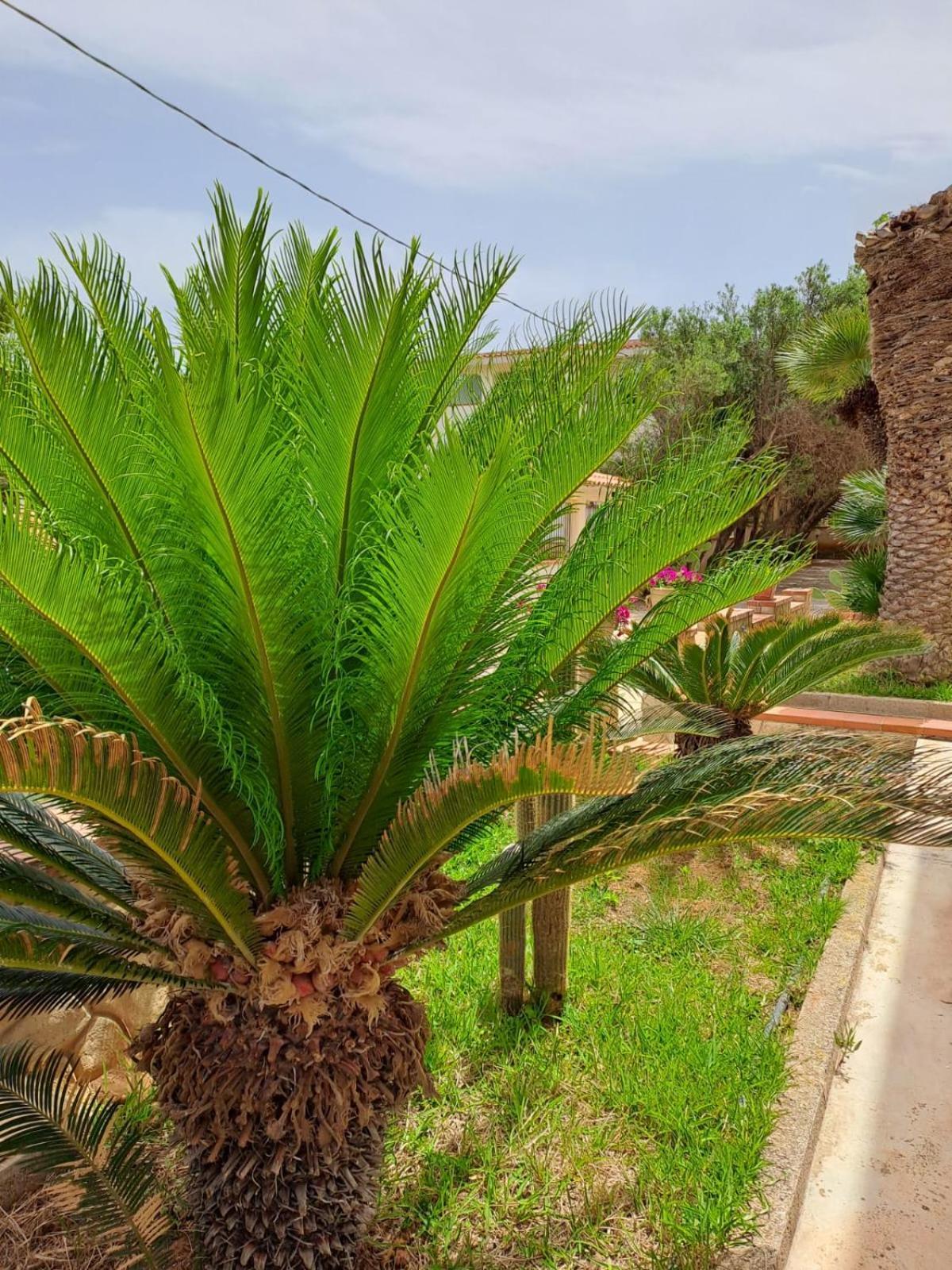Villa Sul Mare Palazzolo Trappeto  Εξωτερικό φωτογραφία