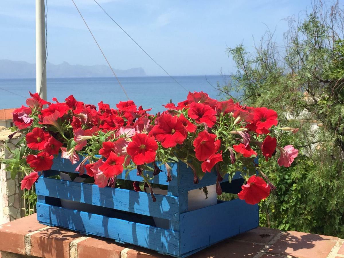 Villa Sul Mare Palazzolo Trappeto  Εξωτερικό φωτογραφία